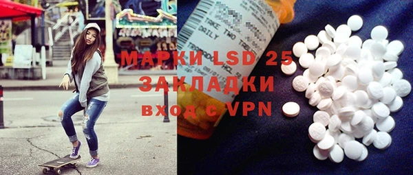 прущий лед Алзамай