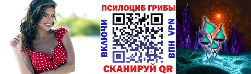 blacksprut как зайти где купить наркоту Менделеевск Псилоцибиновые грибы Magic Shrooms