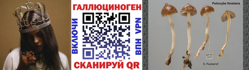 Псилоцибиновые грибы ЛСД Менделеевск